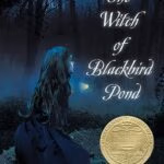 Book cover showing a girl in a dark cloak in a moonlit forest, looking to the left; title the witch of blackbird pond and a gold seal on the lower right.